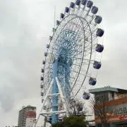 めーぷるの画像