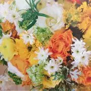 がーこ(次回8/8頃発送予定です)の画像