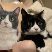 断捨離中の画像