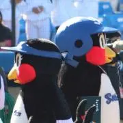 とうもろこしの画像