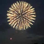 しゃけ