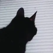 みぃ