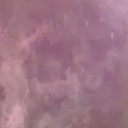 lilの画像