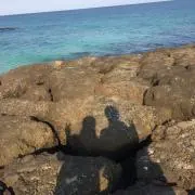 ぬぬーぴ。の画像