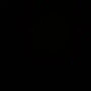 ピノの画像