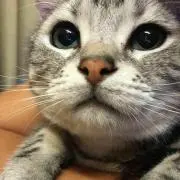 ハル★グッズ整理中★の画像