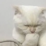 きら