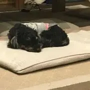 ナオキ