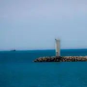 ネス