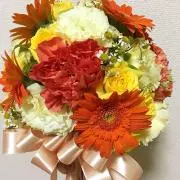白砂糖＊プロフに詳細の画像