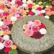 たまごの画像