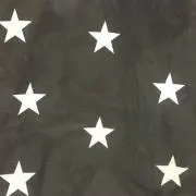 コウテイ☆