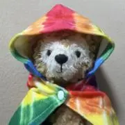 くまの画像