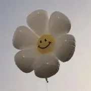 Rの画像