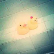 アヒルダブルス