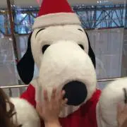 しょーちゃんの画像