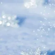 カルキ