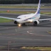 ykの画像