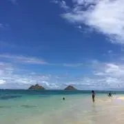 tomomiの画像