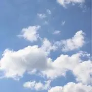 めるるの画像