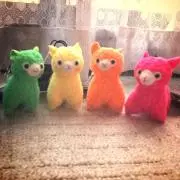 ことぶきの画像