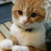 れおの画像