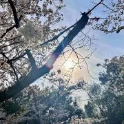 foo52の画像