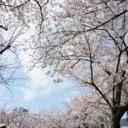 匿名配送の画像