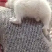 まぁ
