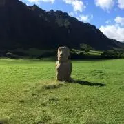 タダアキ819の画像