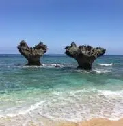 yooの画像