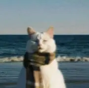 lulu♪