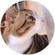neco_cafe♪の画像