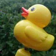 にゃんこ子にゃんこ孫にゃんこ