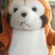 ミックの画像