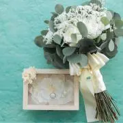 senaの画像