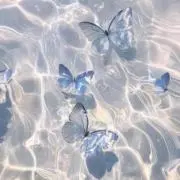 Shion♡【まとめ売り・別売り相談可】の画像