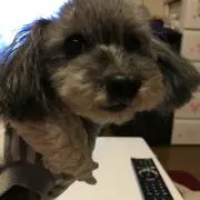 るなプロフ必読の画像