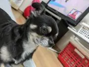 匿名123の画像