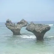 Chappyの画像