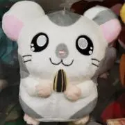 てるみんの画像