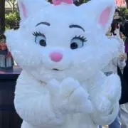 あやねるの画像