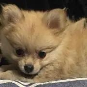 いち  プロフ読んで下さい