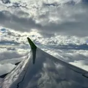 - K -の画像