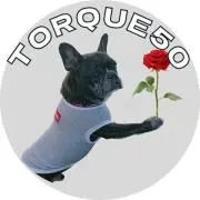 torque50の画像