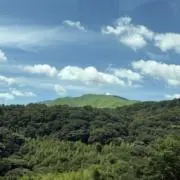 ぶるーの画像
