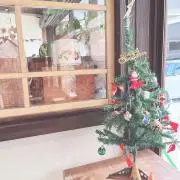 あかつんの画像