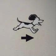 conaの画像