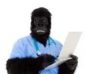 DoctorGorillaの画像