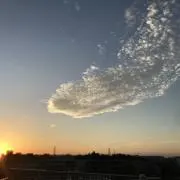 蒼 プロフ必読の画像